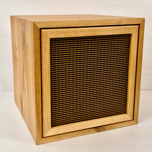 The Amp Box Stripped-Deluxe Vinyl Storage- Back in Stock