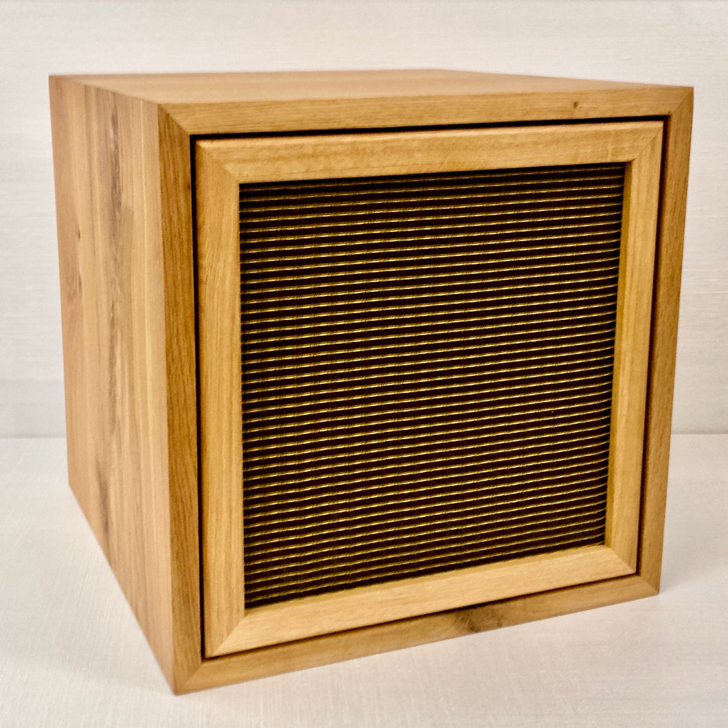 The Amp Box Stripped-Deluxe Vinyl Storage- SOLD OUT PREORDER YOURS TODAY